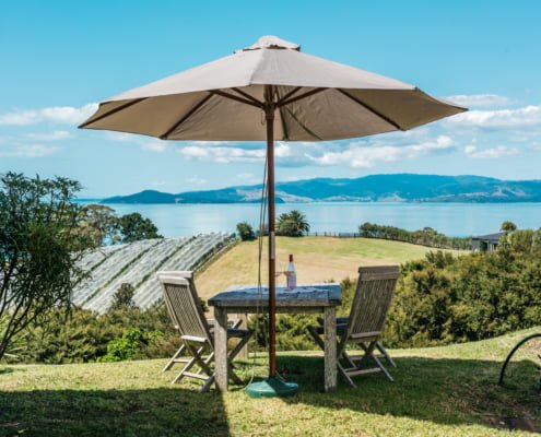 Wine and deck chairs with umbrella